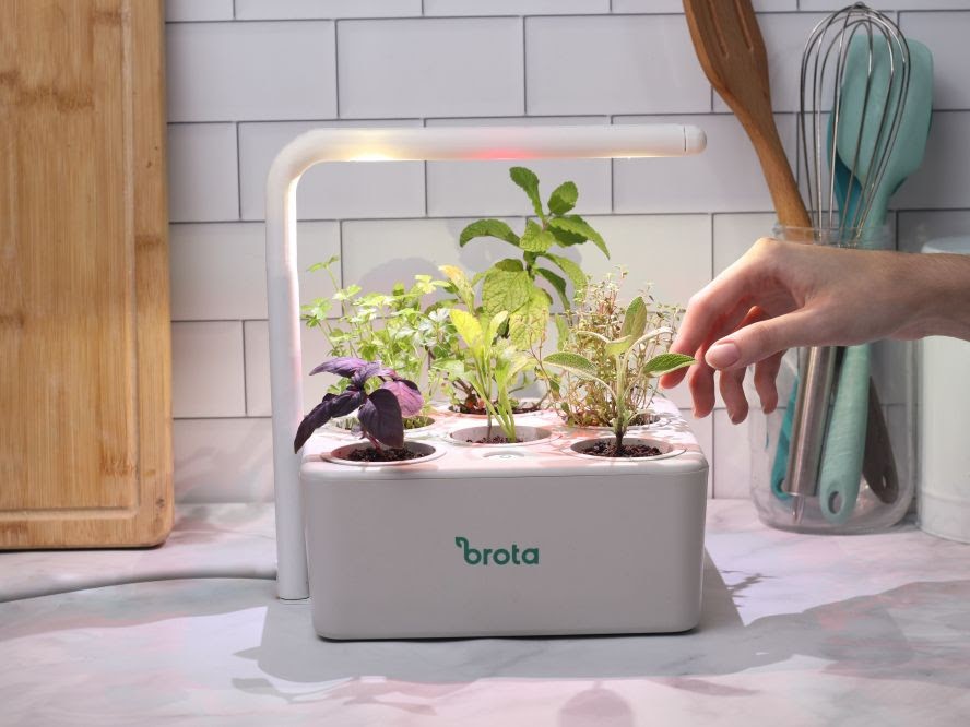Horta inteligente oferece luz artificial automática para planta crescer mais rápido
