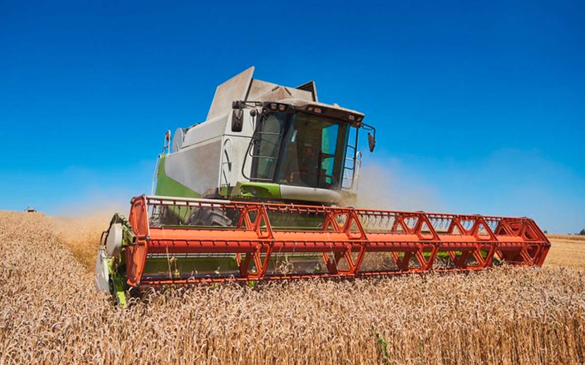 Levantamento indica que produção agrícola deve bater recorde em 2022