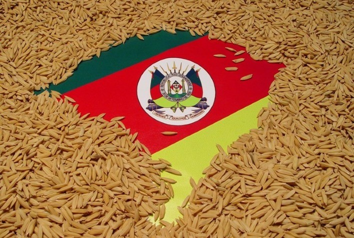 Mercado gaúcho de arroz encerra agosto com alta de 2%