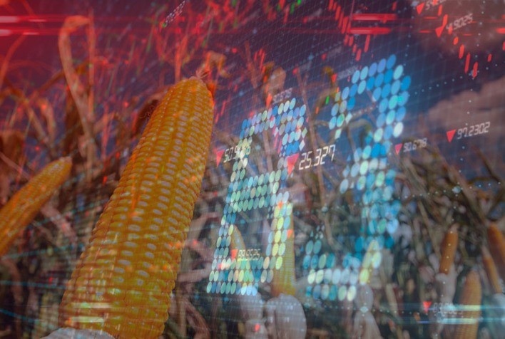 Milho começa 4ª feira recuando na B3, mas tendência segue de firmeza