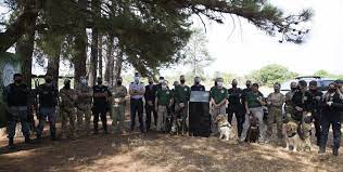 Ministério da Agricultura terá complexo de treinamento de cães farejadores