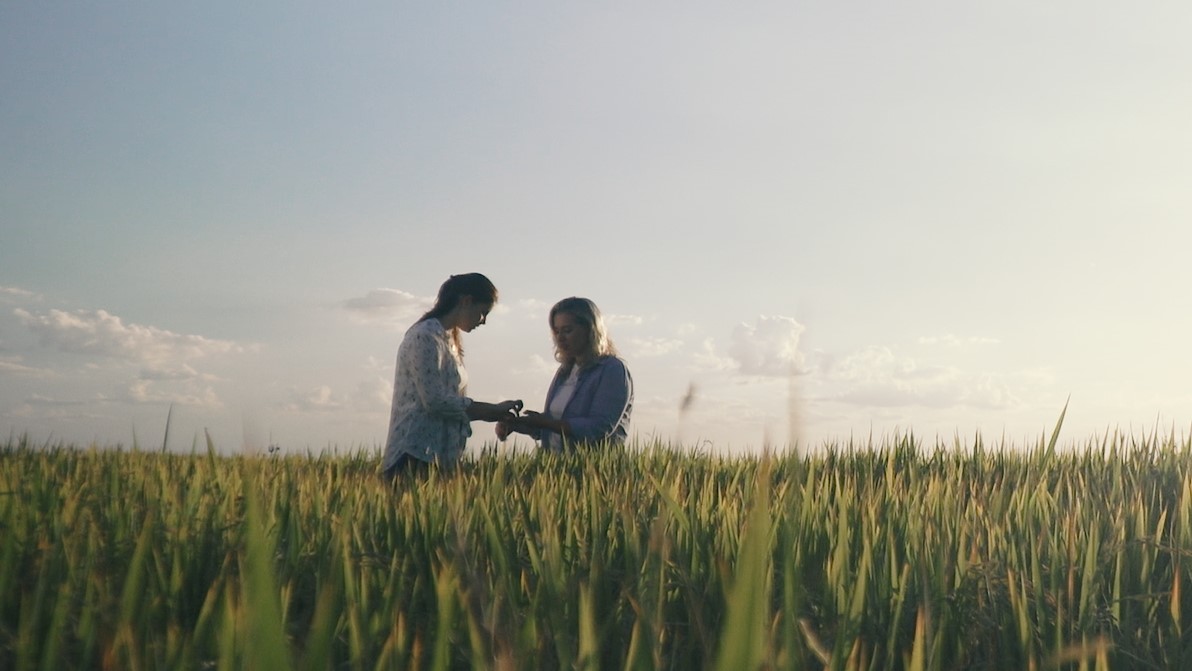 New Holland é premiada por websérie que valoriza o protagonismo das mulheres no campo