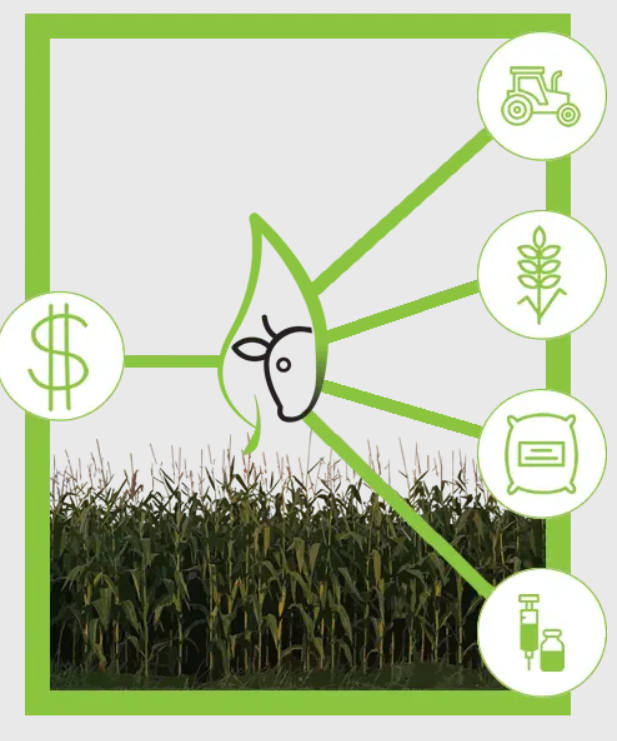 Plataforma para fornecimento de insumos agropecuários: opção para driblar a escassez