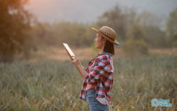 O que falta para a conexão e a digitalização do campo?