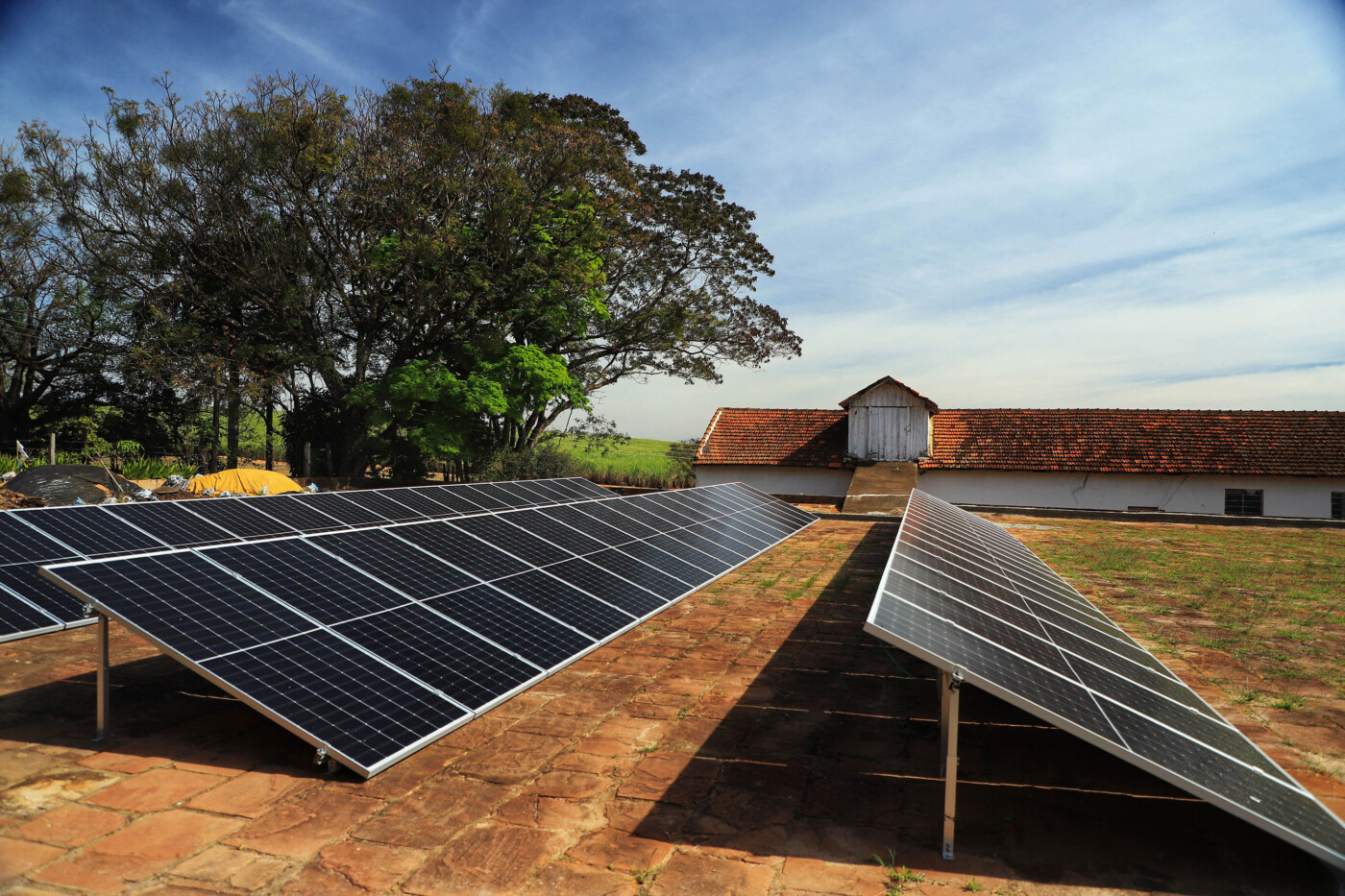 Entenda como o agro pode se beneficiar com marco regulatório sobre energia renovável