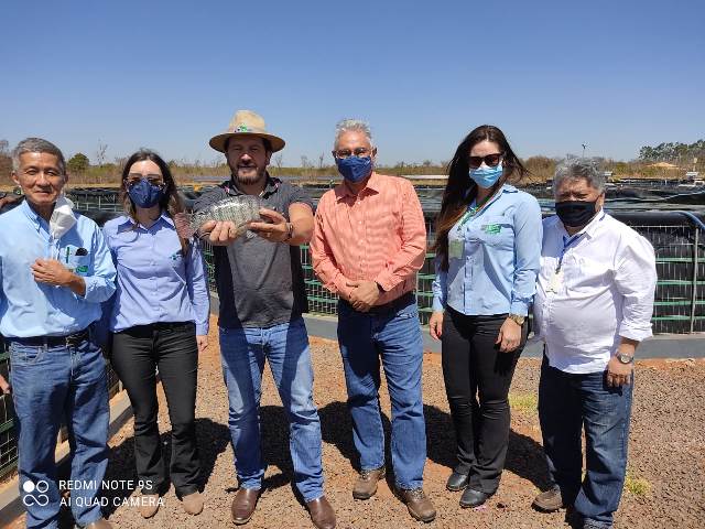 Piscicultura Intensiva com Tanques Elevados cresce em Mato  Grosso do Sul