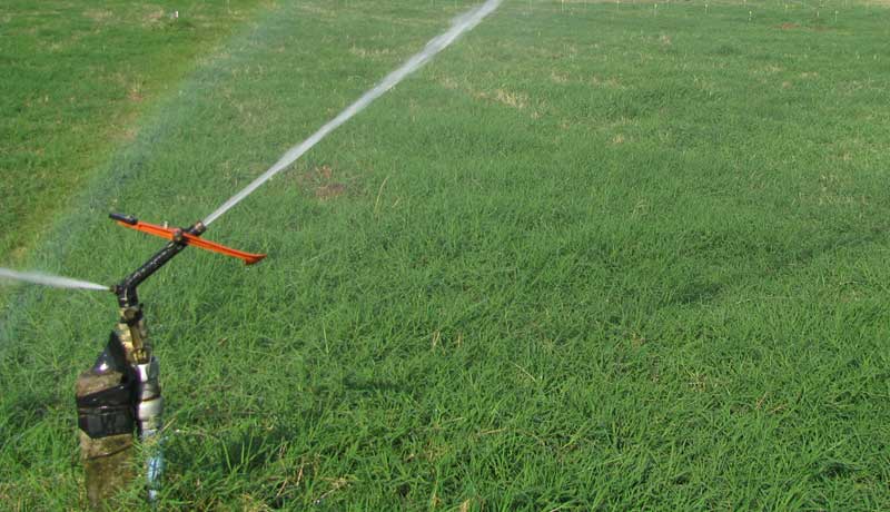 Por que fazer o controle de umidade do solo?