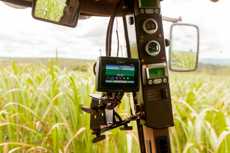 Pragas, falta de mão de obra e desperdícios: como superar os desafios que persistem no campo