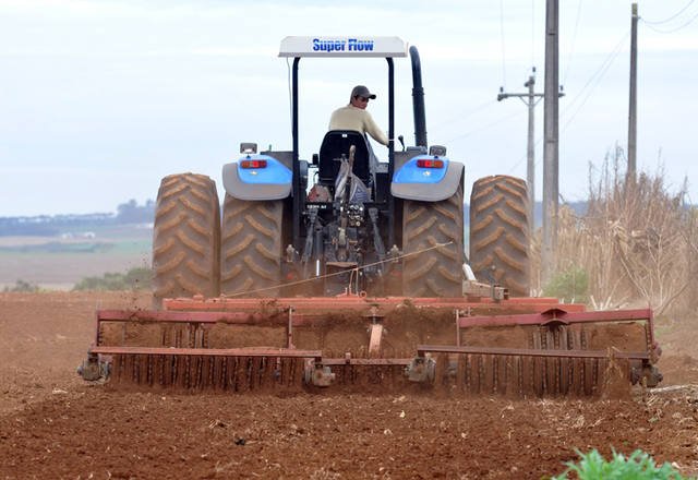 Produção de alimentos em 2021 criou 92% mais novos postos de trabalho que 2020