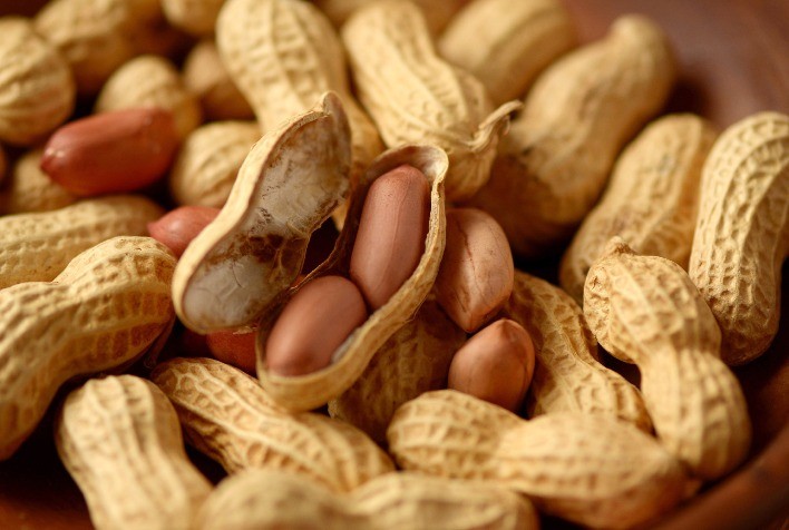 Produção de amendoim aumenta 14,7% em relação à safra anterior