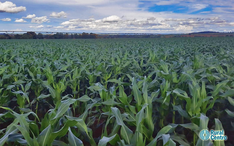 Produção agrícola sustentável cresce no Brasil nos últimos dois anos