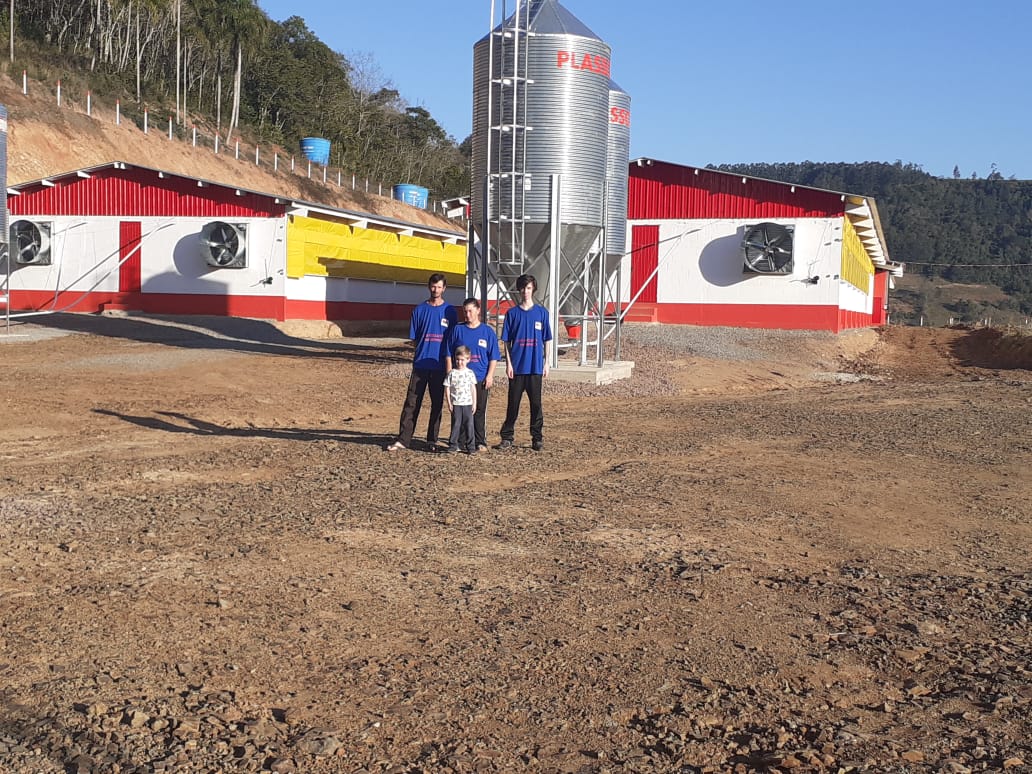 Produtores integrados à BRF trabalham com genética suína diferenciada