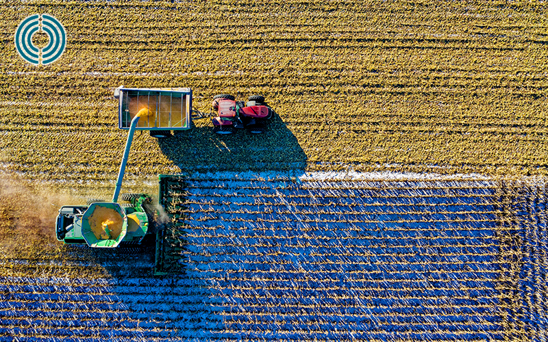 Semeadura de soja em Mato Grosso atingiu 53,90% da área estimada para o cultivo