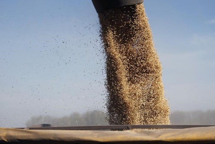 Soja brasileira deve continuar lucrativa em 2022, diz Datagro