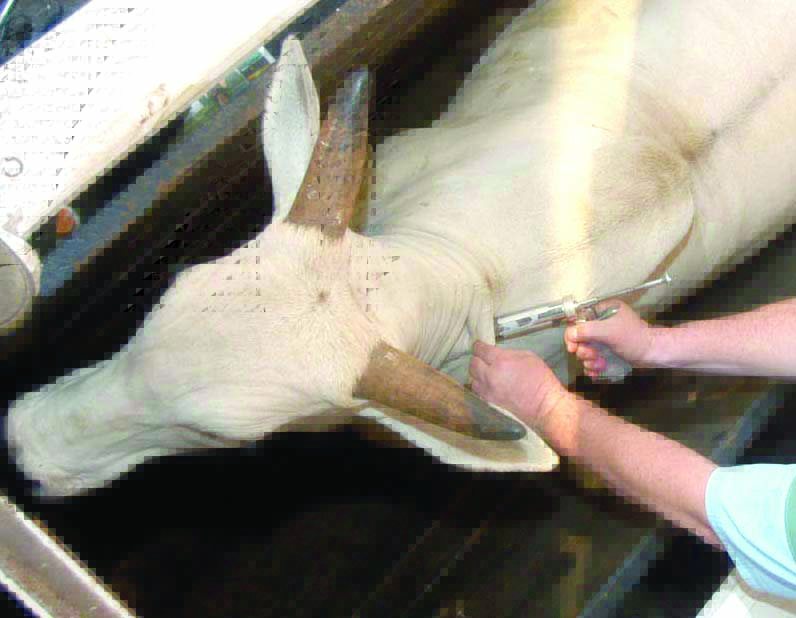 Projeto de Lei do Autocontrole de Defesa Agropecuária segue para o Senado