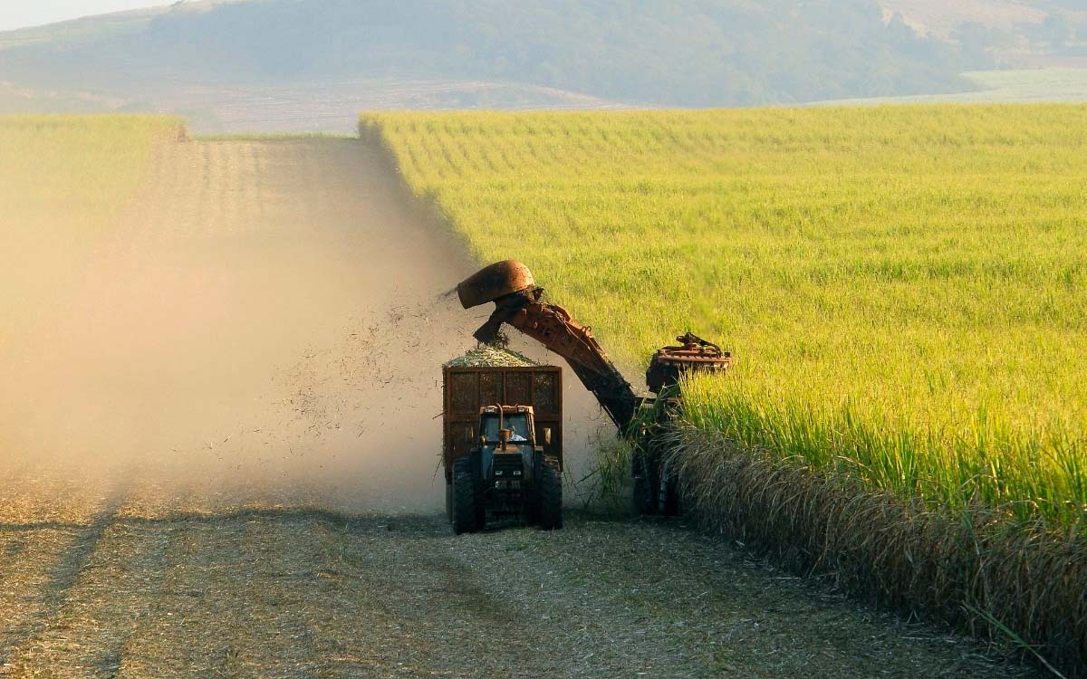 Agronegócio: Saiba como a inteligência agrícola pode ajudar
