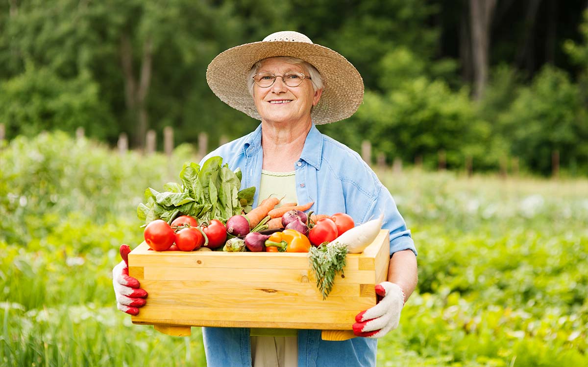 As Políticas Públicas Sustentáveis para os Pequenos Agricultores