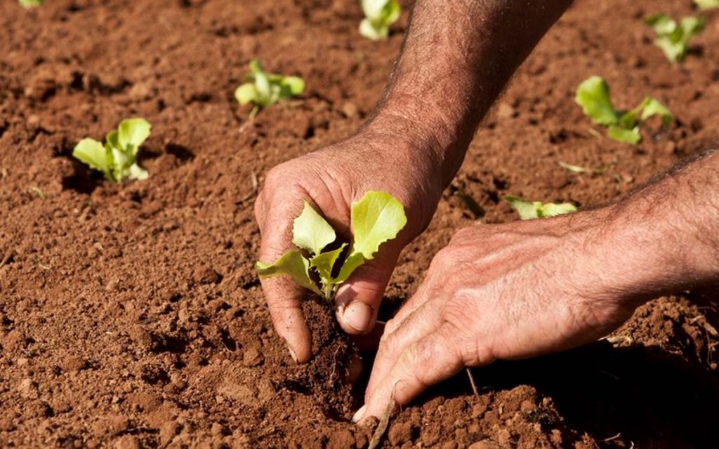 Novo documentário sobre cultura rural, família e mineiridade no campo foi exibido pela Rede Minas