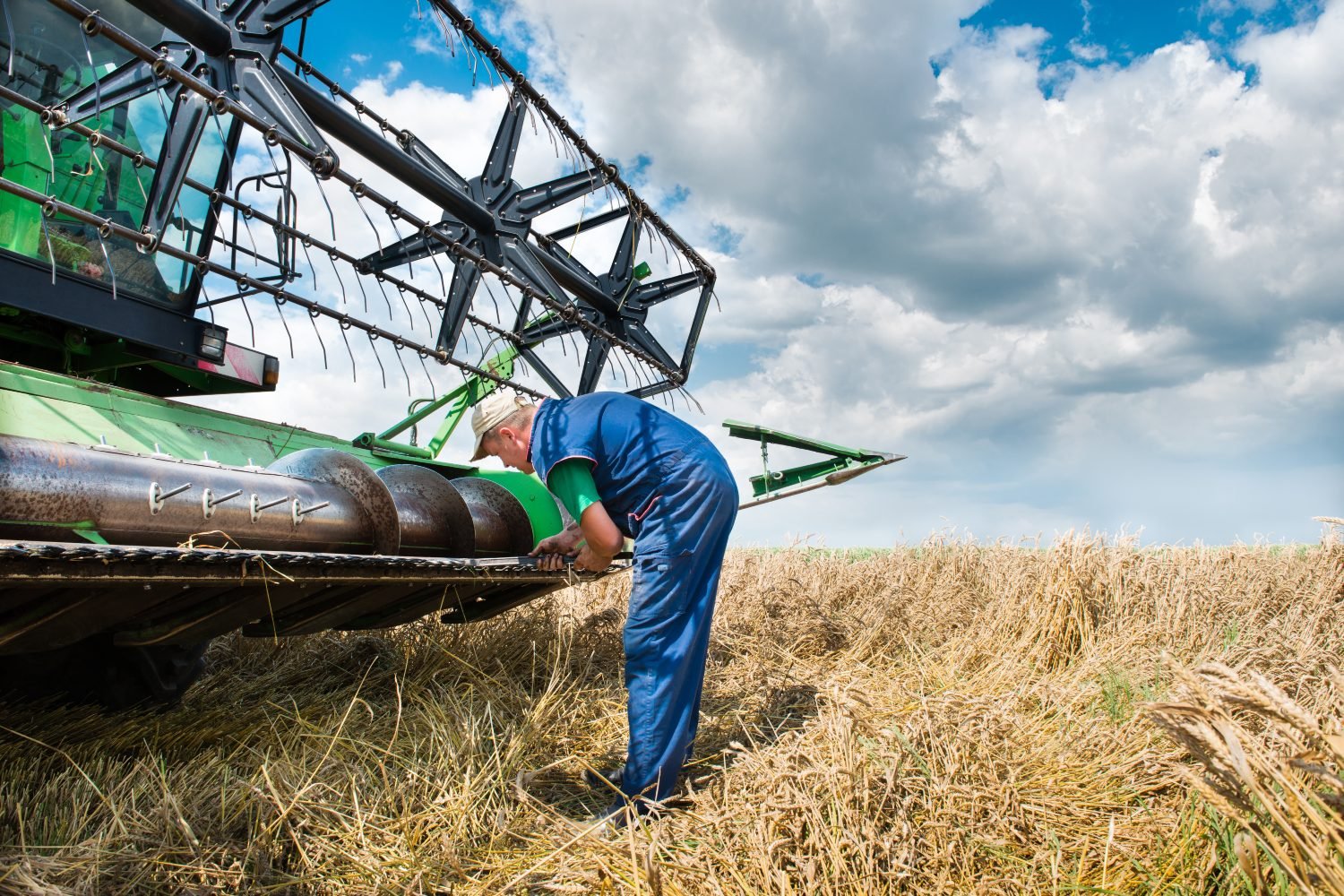 Agropecuária tem a maior geração de empregos nos últimos 10 anos  