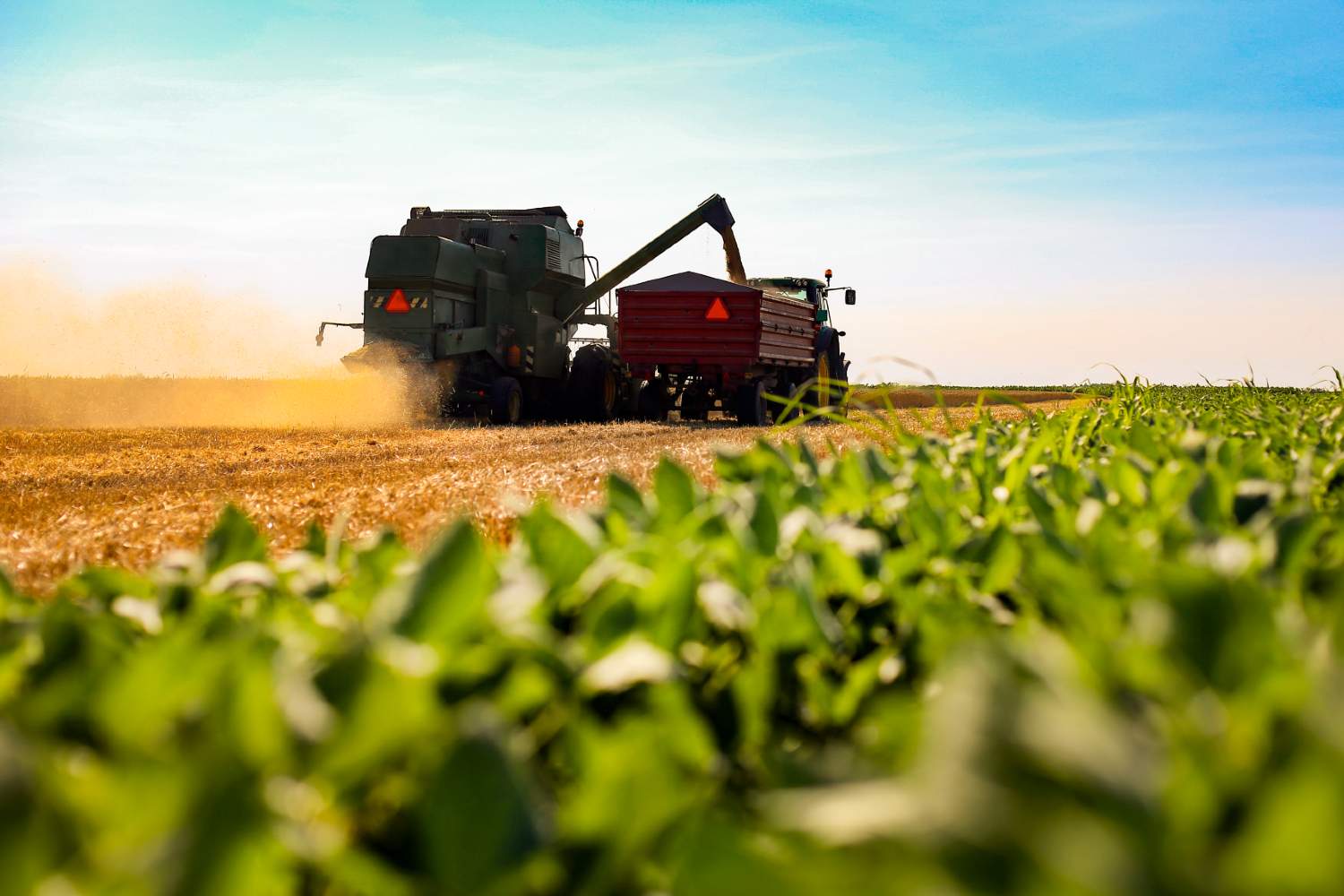 O que significa tornar a produção de alimentos mais sustentável