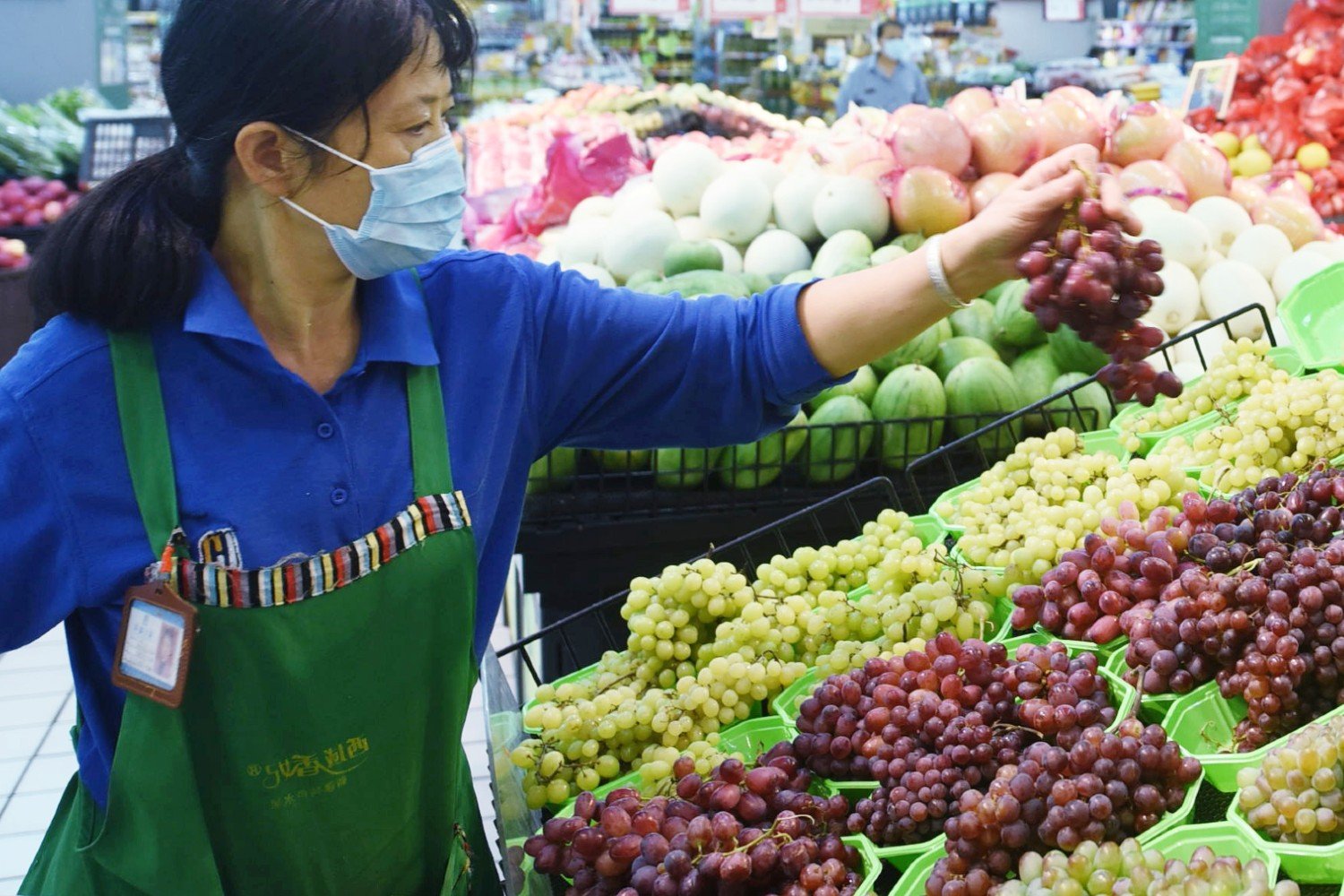 Saiba como os produtores gaúchos estão investindo em uvas de mesa, as “uvas de chupar”