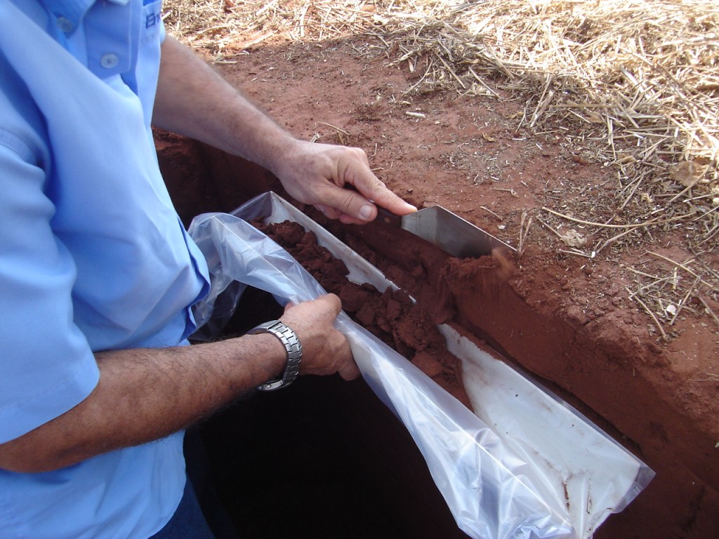 Projeto analisa indicadores físicos do solo no Paraná