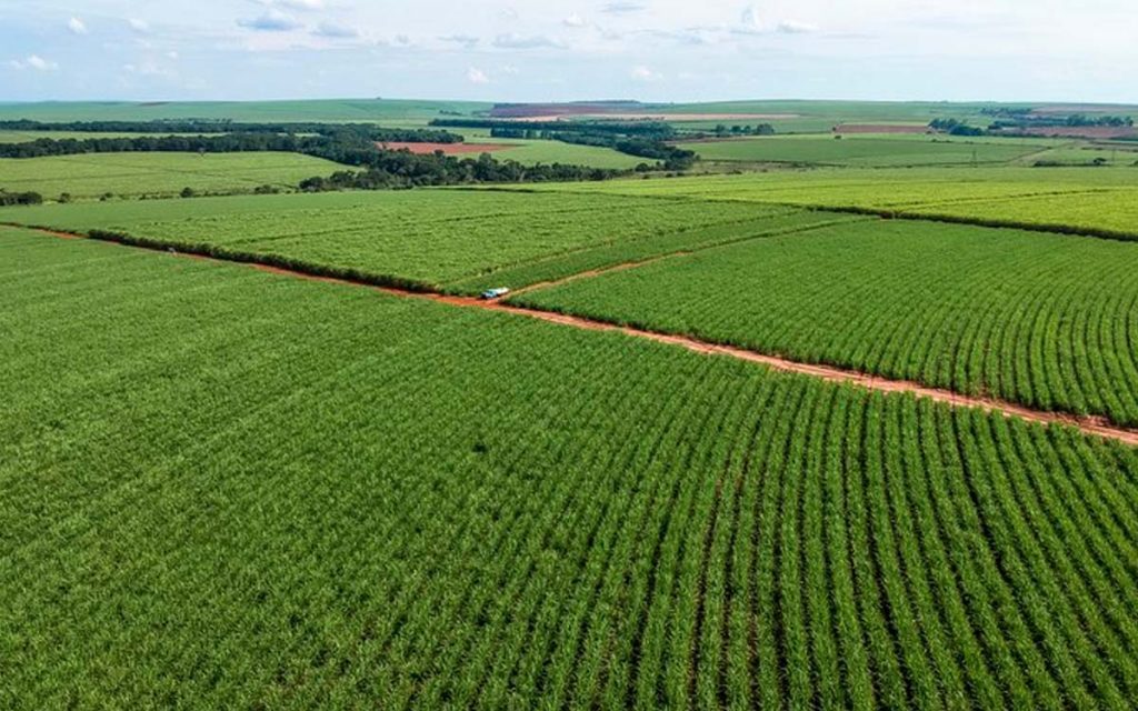 Atividades amparadas pelo Banco do Agricultor Paranaense foram aumentadas por decreto