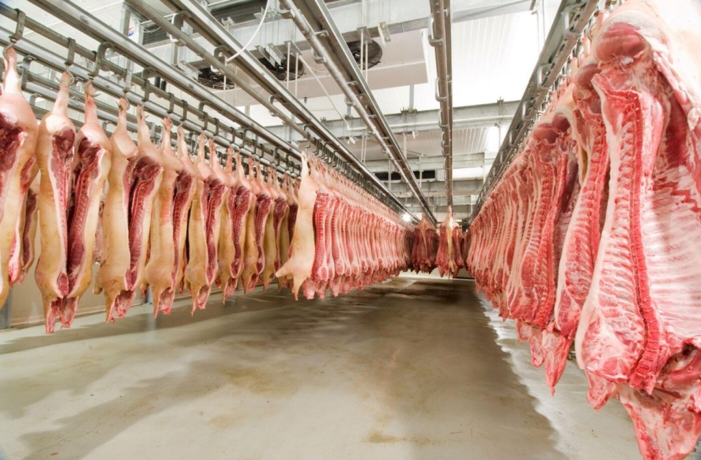 Exportações de carne suína totalizam 89,7 mil toneladas em abril