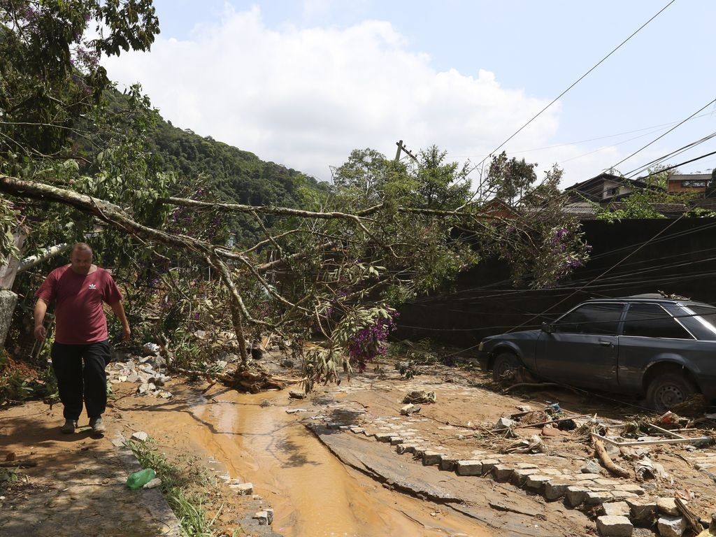 Chuva em Petrópolis: produtores atingidos terão acesso a crédito emergencial