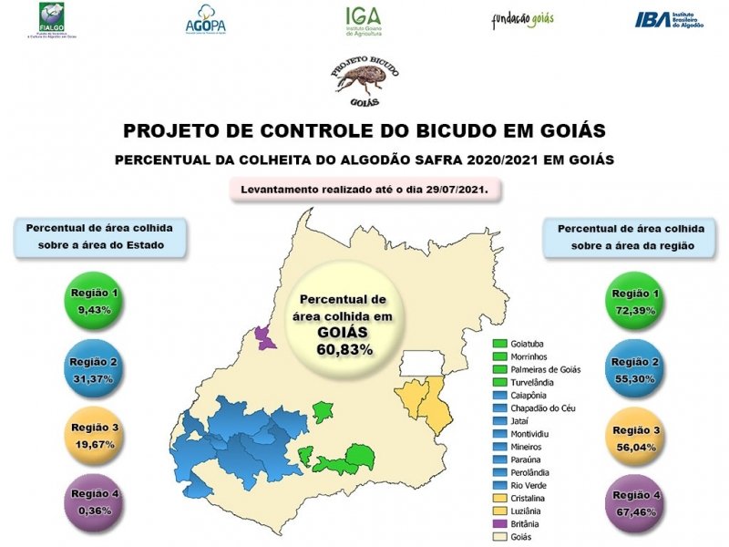 Goiás ultrapassa 60% de sua colheita de algodão