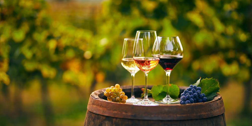 Produção de vinho cresce como alternativa à plantação de grãos