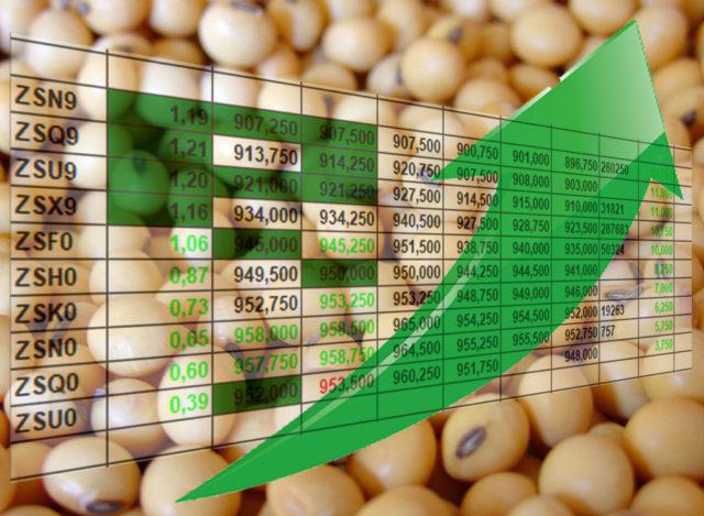 Preços da soja apresentam queda, apesar de firmeza de Chicago