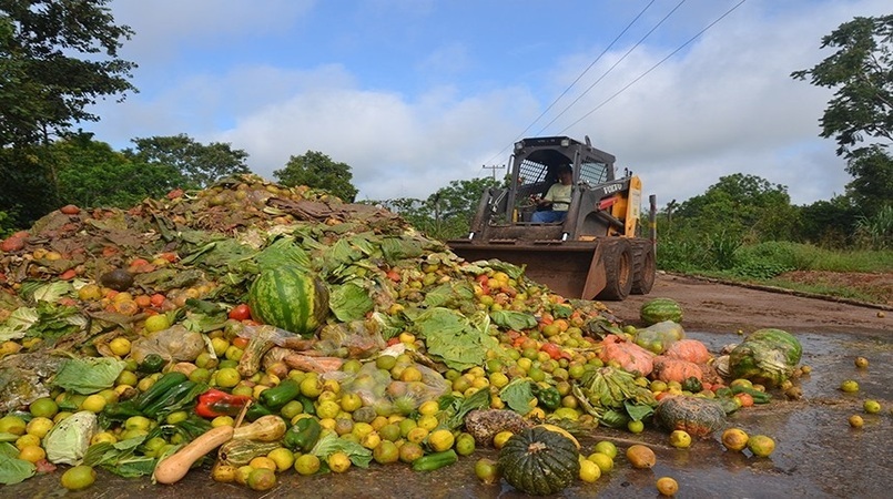 Embrapa: Resíduos agroalimentares podem alavancar bioeconomia circular