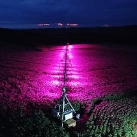 Tecnologia de Iluminação Artificial para a Lavoura