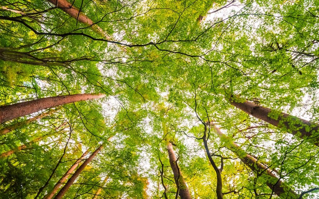 Metodologia para diagnóstico ambiental foi discutida durante Workshop por técnicos e pesquisadores