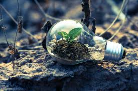 Entenda por que hidrogênio verde pode se tornar commodity energética para o Brasil