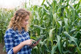 Conexão com fibra óptica impulsiona agronegócio brasileiro