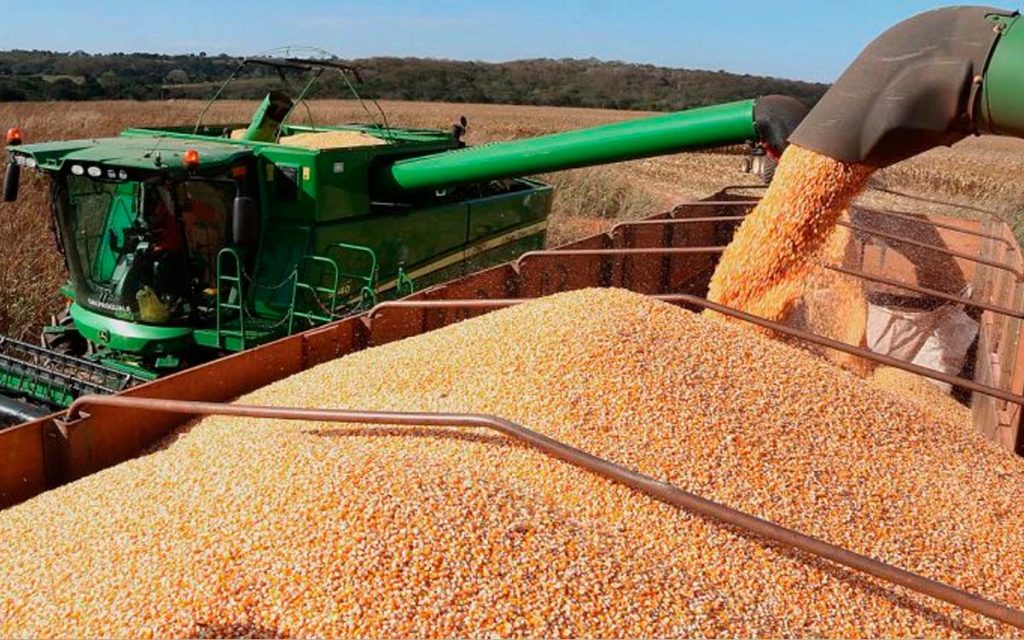 AGRURAL: Com mais ritmo em MT, colheita da safrinha vai a 7% no Centro-Sul do Brasil