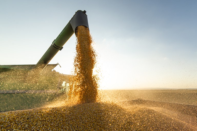 Com maior expectativa na área de milho, produção de grãos pode chegar a 271,8 milhões de toneladas