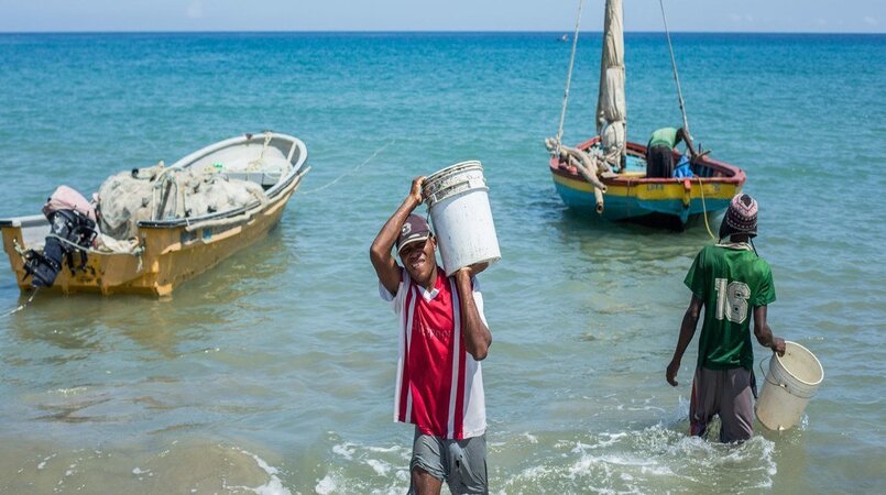 Comércio mundial de peixes está em expansão, diz FAO