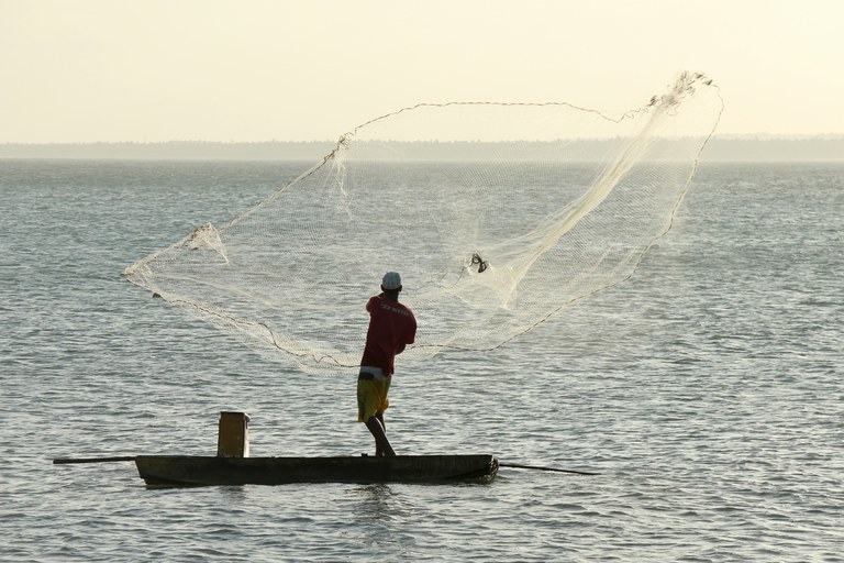 Sistema de recadastramento digital de pescadores volta a operar