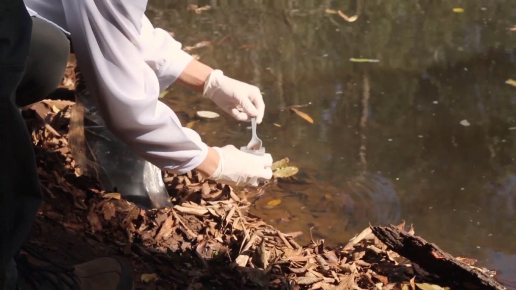 Pesquisa sobre bactérias resistentes em polos suinícolas do Paraná ganha documentário