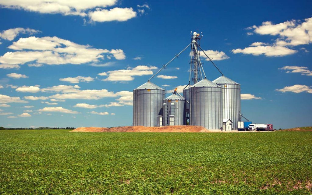 Plano Safra tem linhas com subvenções ao crédito liberadas por recursos do PLN 1/22