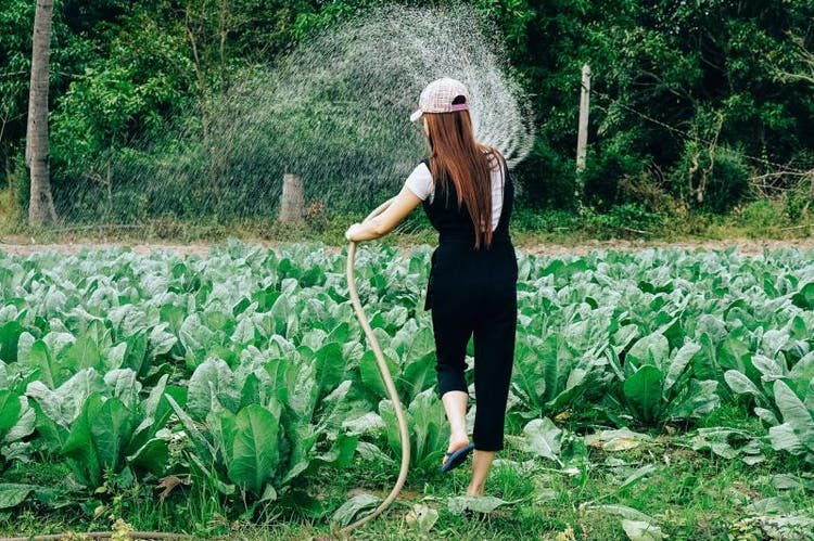 Agroecologia: Saiba quais os benefícios para a produção rural 