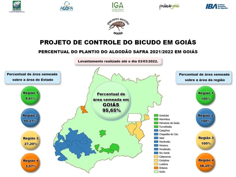 Plantio de algodão em Goiás chega à 95,65%