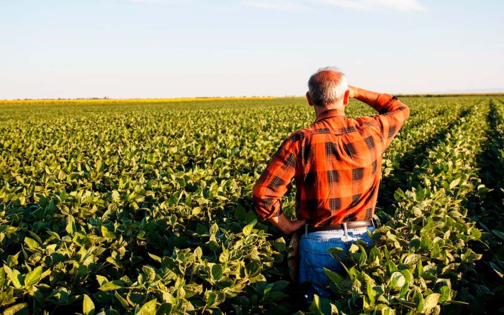 Aprenda como o planejamento financeiro da fazenda pode ser otimizado