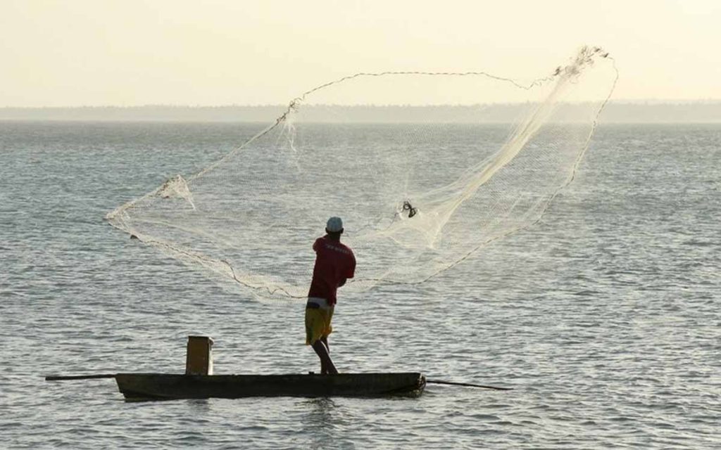 Foram apreendidas 30 toneladas de pesca irregular no Rio pela PF e ICMBio