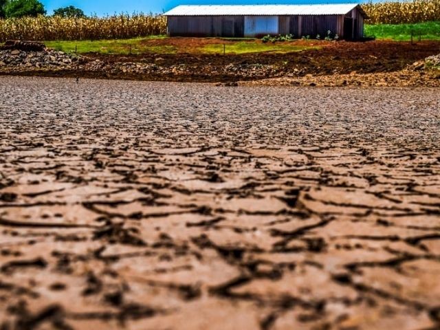 Prejuízo na agricultura catarinense é superior a R$ 3,7 bilhões