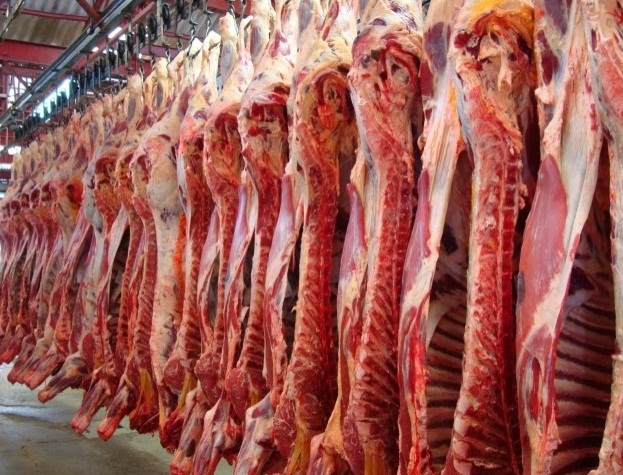 Preço da carne segue negociado abaixo do boi gordo