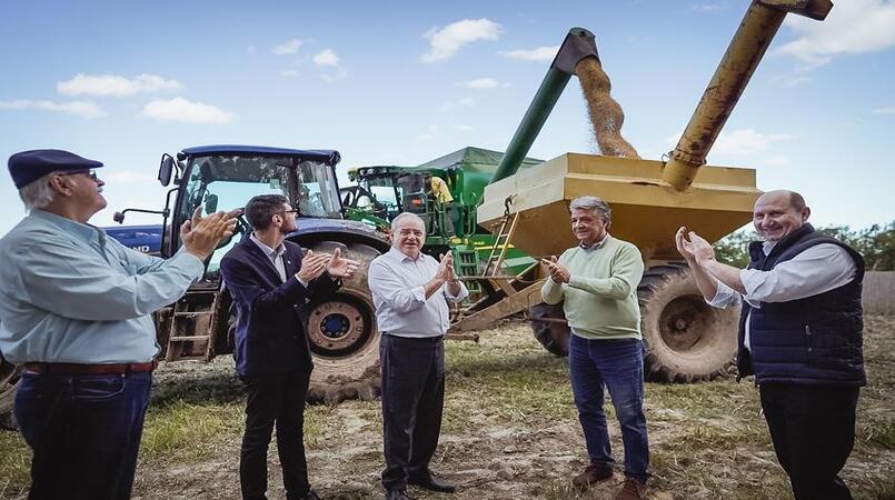 Porto Alegre abre a 1ª colheita da soja; produtividade chega a 60 sacas/ha